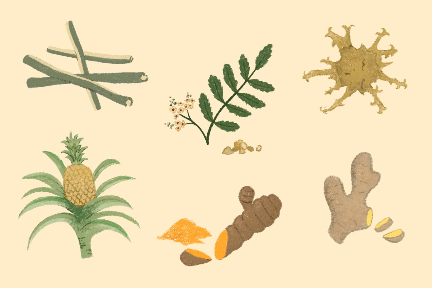 Exploring Alternative Treatments for Pain Management