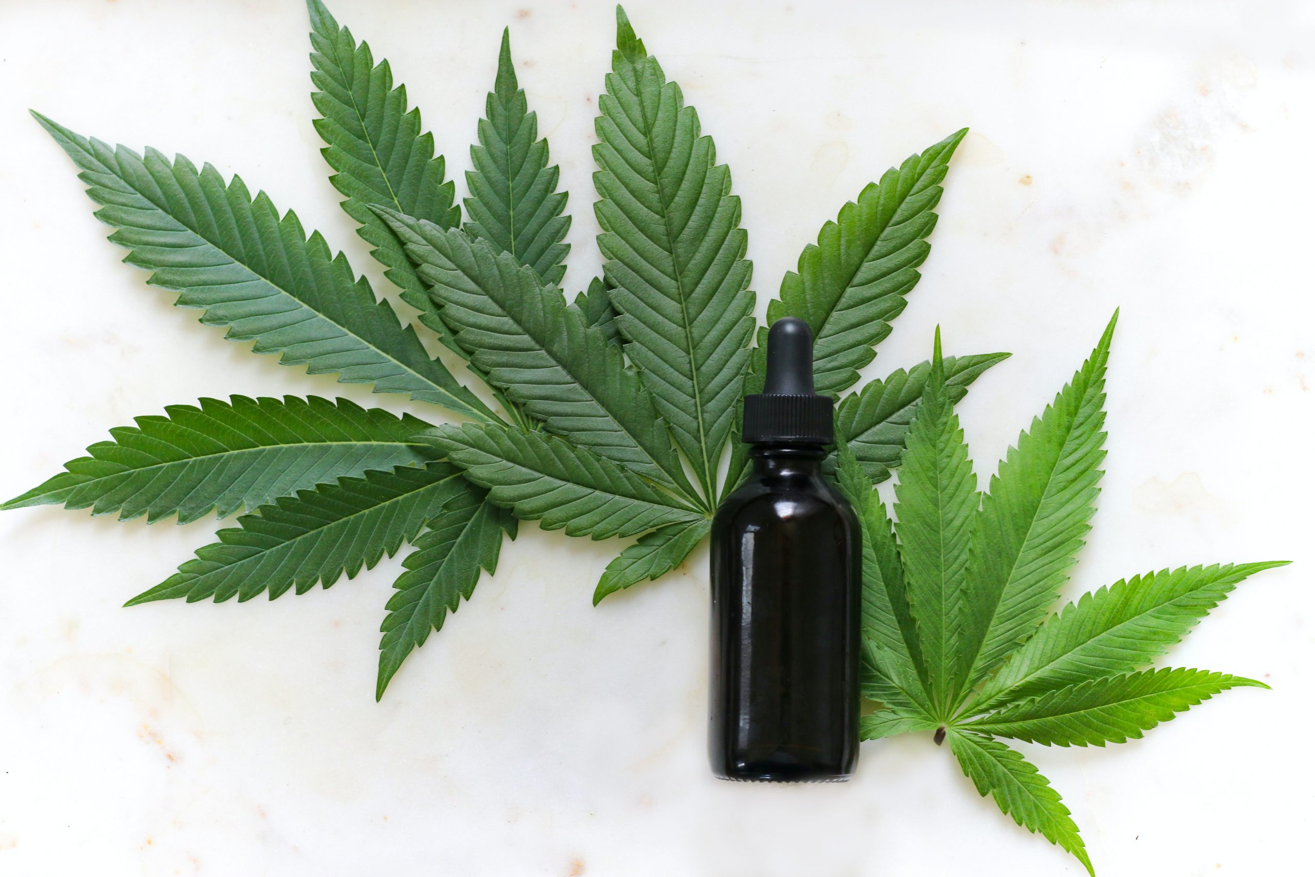 Navigating CBD Oil Prescriptions in Brisbane: A Comprehensive Guide